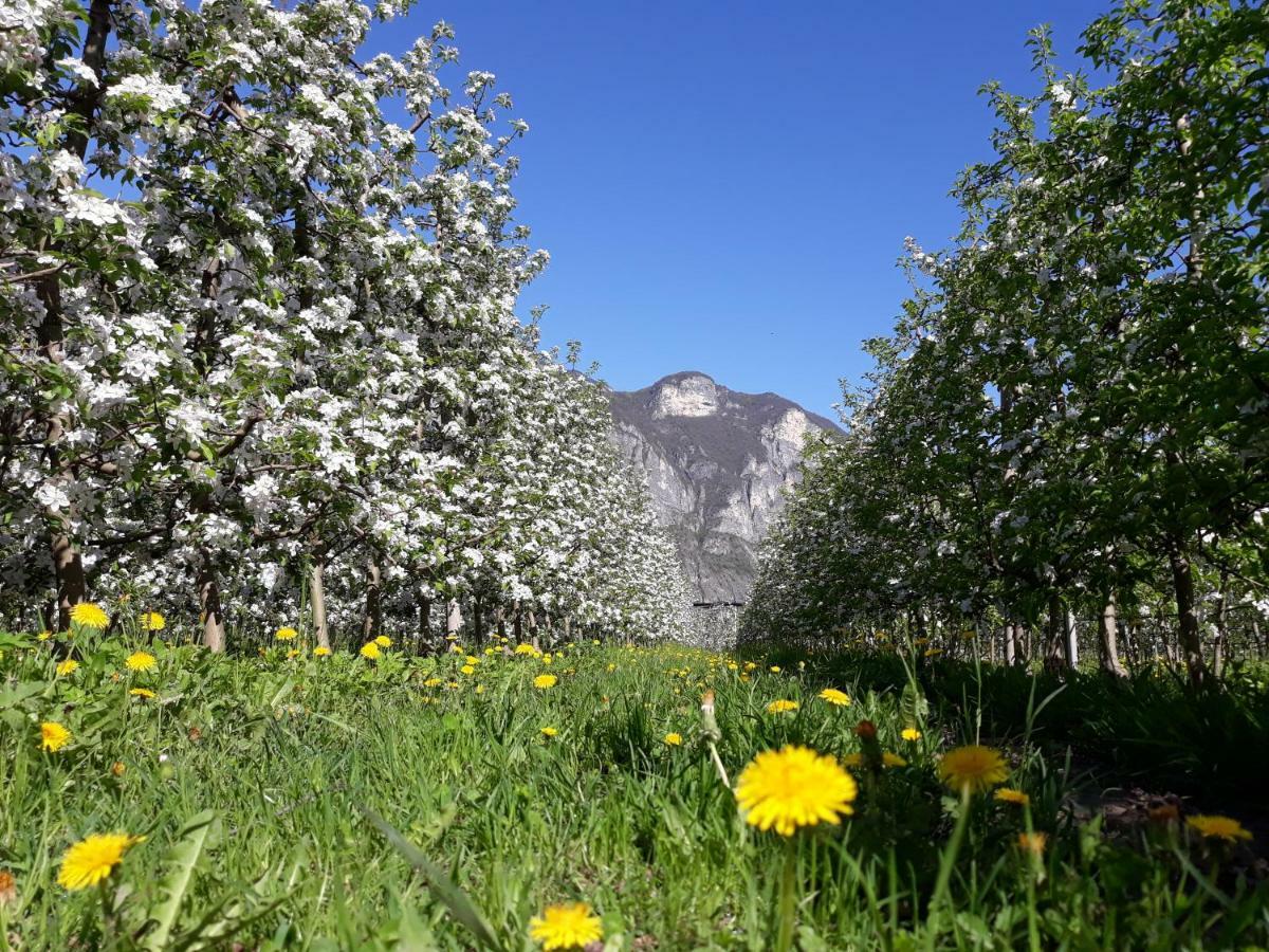 Agriturismo L' Isola Di Arturo Тренто Экстерьер фото