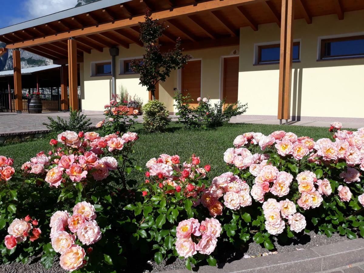 Agriturismo L' Isola Di Arturo Тренто Экстерьер фото